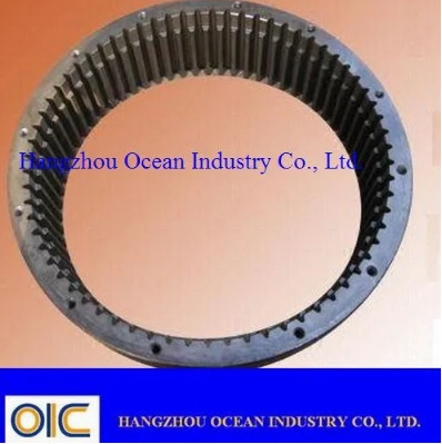 China Groot Groottestaal Intern Ring Gear leverancier